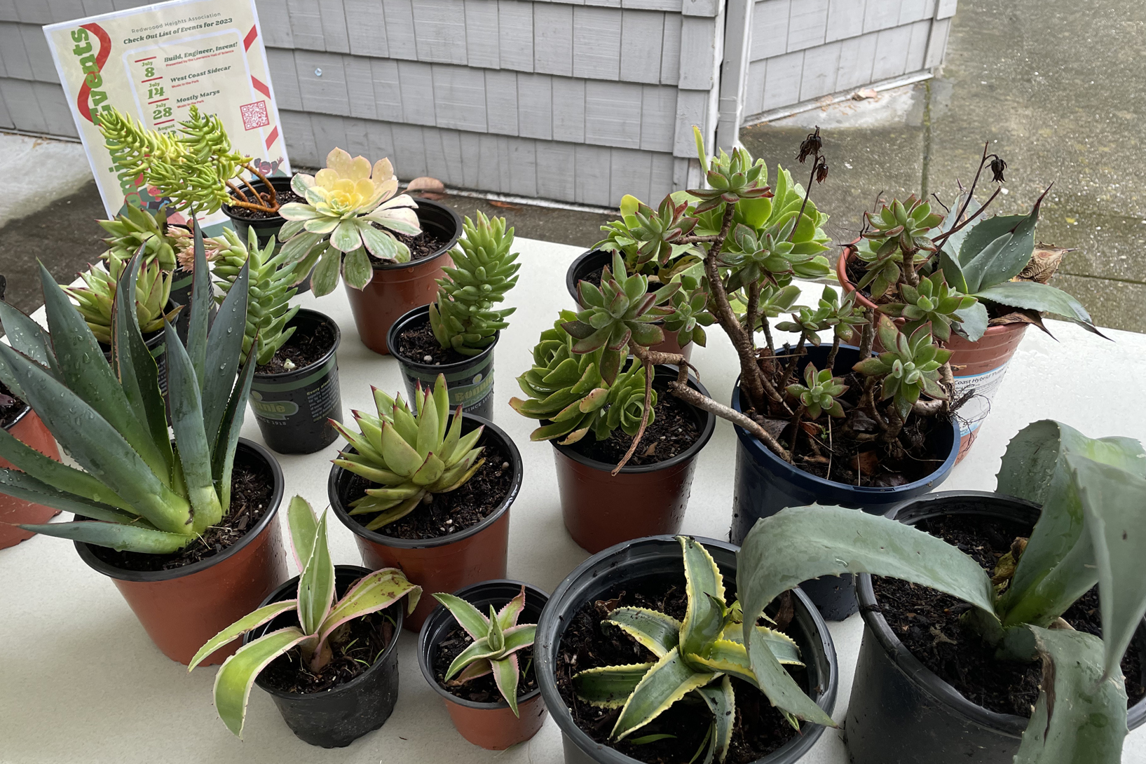 RHA Events: Sample of plants at the RHA Plant Share event